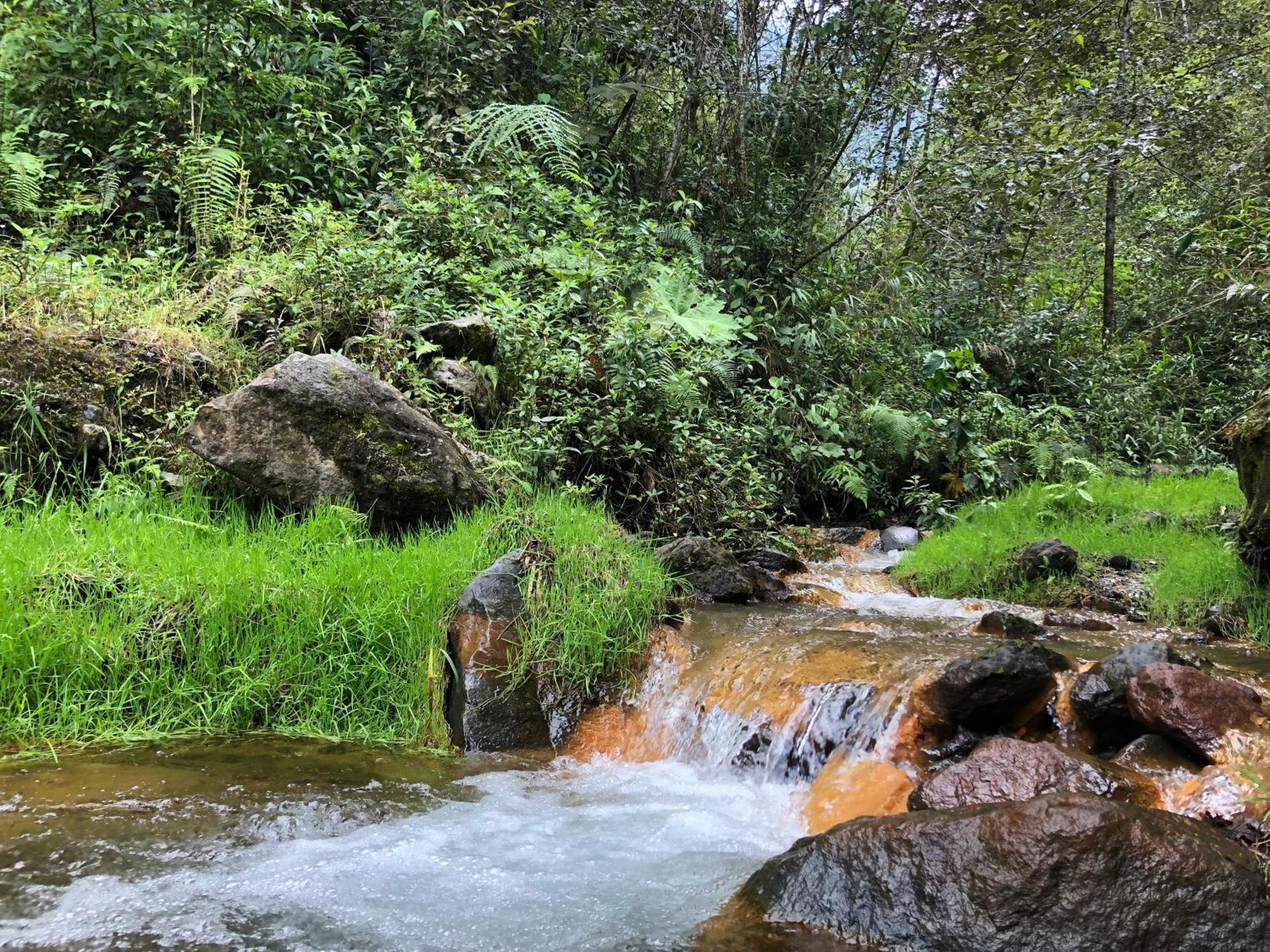 באניוס High-End Holiday Cabin - Tungurahua Hot Springs מראה חיצוני תמונה